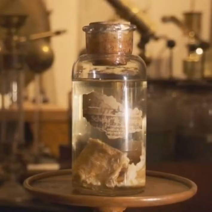 Tại hạt Bath, Kentucky, Mỹ, sáng ngày 3/3/1876 có thời tiết trong lành, mát mẻ. Tuy nhiên, khoảng 11 - 12h, một sự việc kỳ lạ đã xảy ra. Đó là "cơn mưa thịt". Ảnh: Kentucky Educational Television/YouTube.