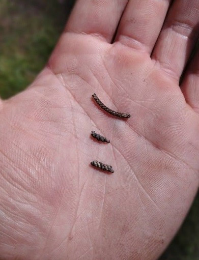 Mặc dù điều này không khẳng định bất kỳ liên hệ trực tiếp nào với Đế chế Byzantine nhưng nó cho thấy rằng giới thượng lưu ở Siberia thời xưa có thể đã tham gia vào các mạng lưới trao đổi đường dài trải khắp lục địa Á - Âu. Ảnh: Rodina History.