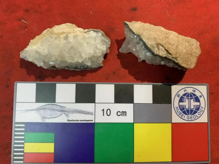 Đồng thời, những hóa thạch trứng khủng long trên hứa hẹn cung cấp nhiều thông tin quan trọng khi khí hậu Trái đất trải qua quá trình hạ nhiệt mạnh mẽ, có thể đã góp phần vào các mô hình tuyệt chủng của khủng long. Ảnh: Dr Bi Zhao.