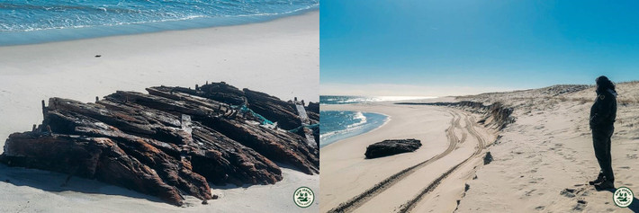 Bởi vì gỗ, do bị ngâm trong nước mặn và cát quá lâu, rất dễ vỡ và có thể nhanh chóng bị phân hủy khi tiếp xúc với không khí và ánh sáng mặt trời.