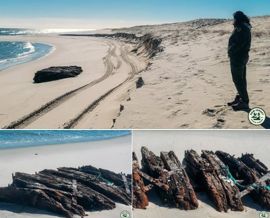 “Hiện tượng xói mòn bờ biển trong những tháng mùa Đông thường xảy ra tại Island Beach State Park và là một phần của quá trình tự nhiên, tuần hoàn”, một quan chức của công viên cho biết.