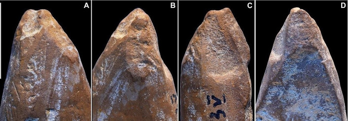 Phát hiện này bổ sung bằng chứng cho cuộc tranh luận về việc liệu người Neanderthal có khả năng sáng tạo nghệ thuật hay không. Ảnh: d’Errico et al., Science Advances (2025); CC BY 4.0.