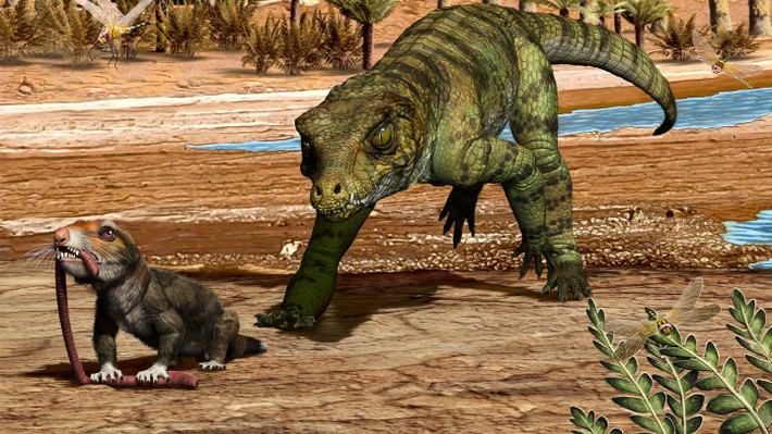 Nghiên cứu sinh tiến sĩ Allen đã tìm thấy hóa thạch của Elton khi còn là sinh viên Đại học Montana. Ông đã phát hiện hộp sọ của Elton chỉ dài 5 cm và nằm sâu trong đá. Sau đó, ông đã đưa mẫu vật cho giáo sư Cổ sinh vật học David Varricchio tại Đại học Montana để kiểm tra. Ảnh:Jorge Gonzalez.