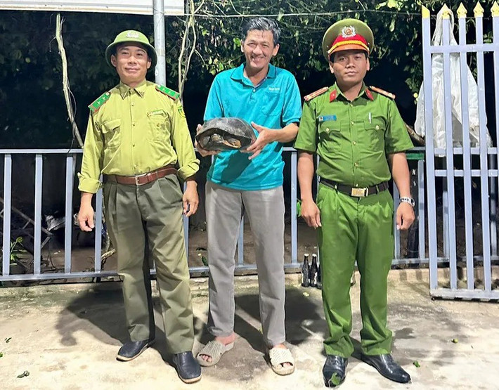 Vào ngày 18/11, Công an xã Phước Hậu, tỉnh Khánh Hòa cho biết đã tiếp nhận một cá thể rùa đầu đen nặng 5 kg do ông Nguyễn Thanh Hùng (56 tuổi, ngụ thôn Ninh Quý 3, xã Phước Hậu) giao nộp. Ảnh: Công an xã Phước Hậu.