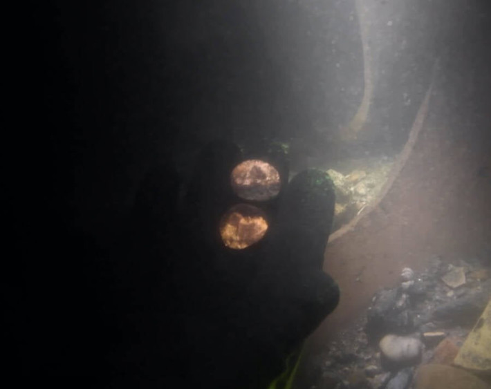 Trong số những đồng xu La Mã tìm thấy có một đồng sestertius in hình hoàng đế Trajan (98 - 117). Hiện vật này có niên đại vào năm 116. Ảnh: Lionel ROUX_CCJ-(CNRS-AMU).