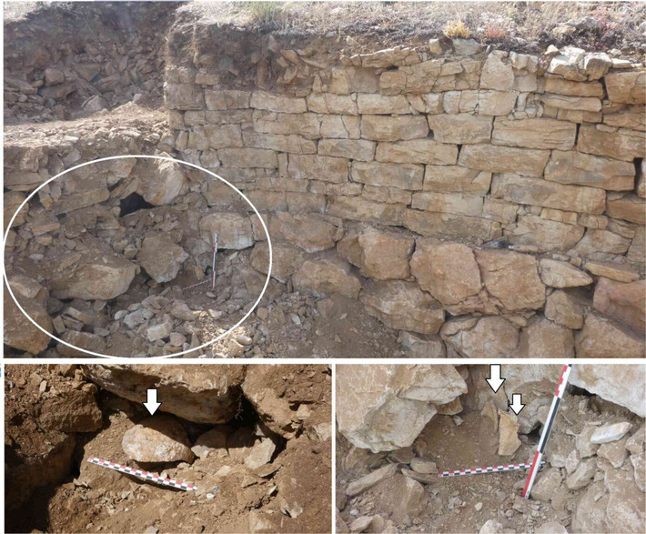 Phân tích ADN cho thấy hộp sọ thuộc về một người đàn ông, có khả năng là người địa phương trong khu vực. Các nhà nghiên cứu ước tính người lính này chết khi khoảng 45 tuổi. Họ không tìm thấy bất kỳ bằng chứng nào về ngôi mộ hay phần còn lại của bộ xương. Ảnh: Santiago David Domínguez-Solera / Open Access.