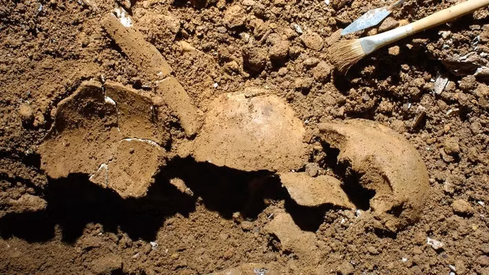 Một cuộc khai quật ở Italy đã phát hiện ra bằng chứng lâu đời nhất và đầu tiên được biết đến về loạn luân giữa cha - con trong lịch sử khảo cổ. Nhóm nghiên cứu đã tìm thấy bằng chứng di truyền về mối quan hệ loạn luân này khi kiểm tra bộ hài cốt của một thiếu niên được chôn cất tại một nghĩa địa thời Đồ đồng ở miền nam Italy. Ảnh: Felice Larocca, CRS "Enzo dei Medici".