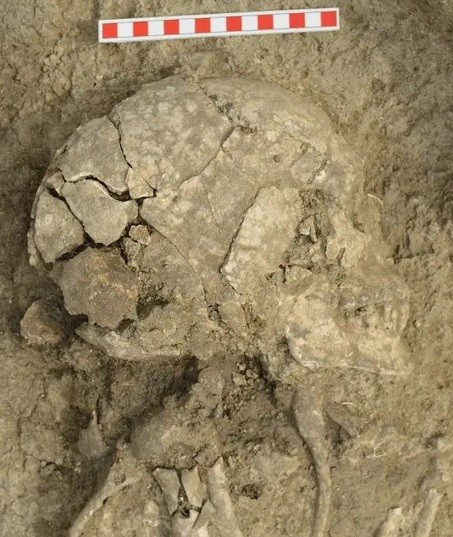 Theo nghiên cứu mới công bố, nam thiếu niên khoảng 16 - 18 tuổi có thể đang khi săn khi chạm trán với sư tử. Loài động vật hung dữ này từng sinh sống ở khu vực ngày nay là Đông Âu vào thời Đồ đồng (khoảng năm 4500 trước Công nguyên đến năm 3500 trước Công nguyên). Ảnh: Veselin Danov.