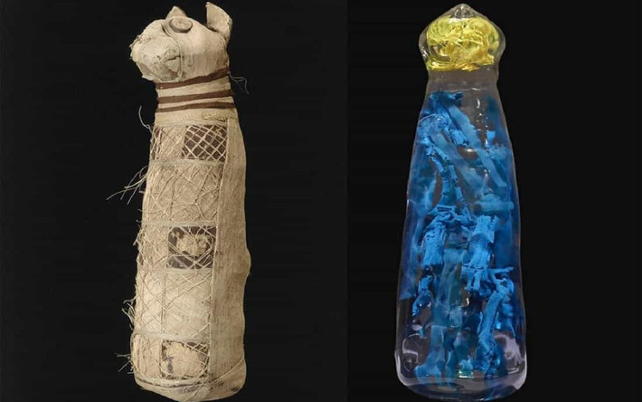 Nhà nghiên cứu Théophane Nicolas của INRAP và là người tham gia dự án nghiên cứu cho hay việc tìm thấy một phần xương bên trong xác ướp không phải là điều bất thường. Một số xác ướp động vật chứa toàn bộ hài cốt của một cá thể hoàn chỉnh nhưng cũng có những xác ướp chỉ chứa một phần hài cốt của con vật vật. Đôi khi, các nhà nghiên cứu thậm chí còn tìm thấy những xác ướp động vật nhưng bên trong hoàn toàn trống rỗng, không có mảnh xương nào. Ảnh: historicaleve.