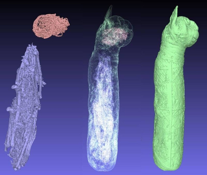 Giờ đây, với sự tiến bộ của công nghệ, các chuyên gia có thể "nhìn thấu" bên trong xác ướp mà không cần mở lớp vải bọc bên ngoài. Họ sử dụng pháp chụp cắt lớp vi tính, hay còn gọi là chụp CT, để kiểm tra xác ướp mèo 2.500 tuổi và có khám phá bất ngờ. Ảnh: IRISA/INSA Rennes.