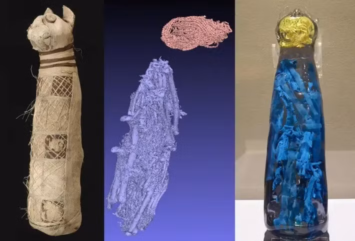 Nhóm nghiên cứu đã tìm thấy một cục vải nằm ở vị trí đáng lẽ là phần đầu của con mèo. Đặc biệt, xác ướp có tới 5 xương chân sau. Họ suy đoán 5 chiếc chân này đến từ 3 cá thể mèo khác nhau. Ngoài ra, các nhà nghiên cứu không phát hiện bất cứ mảnh xương sườn, cột sống hay hộp sọ của xác ướp mèo. Ảnh: INTRAP/INTRAP.