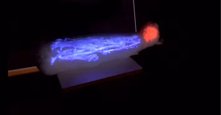 Những xác ướp động vật phần lớn vẫn là một bí ẩn vì được người Ai Cập thời cổ đại bọc rất kỹ lưỡng nên rất khó kiểm tra bên trong có gì mà không gây hư hại. Ảnh: IRISA/INSA Rennes.