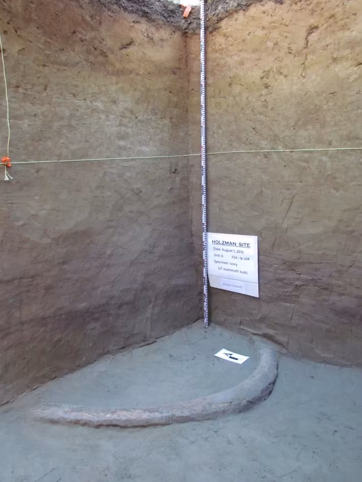 Các hiện vật, bao gồm những vật dụng liên quan đến việc chế tác công cụ bằng đá và đất son - một loại khoáng chất màu đỏ thường được sử dụng trong các nghi lễ, có niên đại cổ hơn khoảng 600 năm so với các hiện vật tương tự của người Clovis sống ở phía nam, tại New Mexico và các nơi khác. Ảnh: B. Wygal.