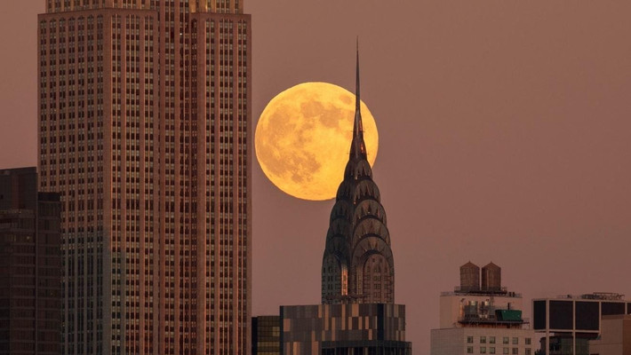 Trăng tròn tháng 11 thường được người dân Bắc Mỹ gọi là "Trăng hải ly" (Beaver Moon). Theo Timeanddate, tên gọi này xuất phát từ việc những con hải ly ở vùng đông bắc Mỹ và Canada thường bận rộn xây đập vào thời điểm này trong năm, dưới ánh trăng tròn. Ảnh: Gary Hershorn/Getty Images.