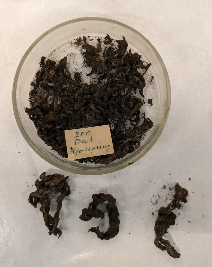 Nhiều thế kỷ sau, "thuyền ma" Hjortspring đã được các nhà khảo cổ đem lên mặt nước và lưu giữ tại Bảo tàng Quốc gia Đan Mạch từ năm 1937. Nghiên cứu mới đây xác định con thuyền khoảng 2.400 tuổi. Ảnh: Mikael Fauvelle.