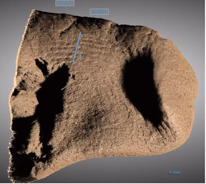 Sử dụng phương pháp sắc ký khí khối phổ, nhóm nghiên cứu xác định được vật liệu xảm thuyền có khả năng được tạo thành từ mỡ động vật và nhựa thông, thứ khó tìm thấy ở Đan Mạch thời kỳ đó. Phát hiện này cho thấy con thuyền có khả năng đã có một hành trình dài trên đại dương để đến đảo Als. Ảnh: Johansson / Sahel Ganji.