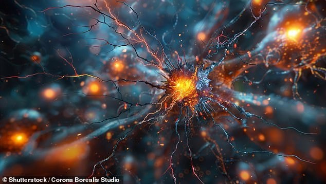 Tuy nhiên, mới đây, Giáo sư Barry Smith, Giám đốc Viện Triết học tại Đại học London, cho rằng, con người không chỉ có 5 giác quan. Thay vào đó, mỗi người có từ 22 - 33 giác quan. Ảnh: Shutterstock/Corona Borealis Studio.