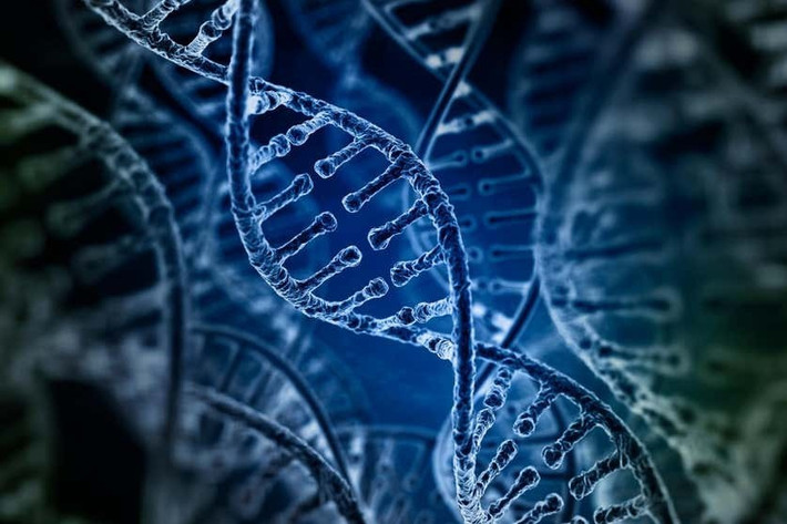 Mặc dù dấu vết di truyền khảo cổ học của nhóm người bí ẩn này kết thúc khoảng 200 năm trước nhưng các nhà nghiên cứu đã tìm thấy một số manh mối trong ADN của người Argentina hiện đại. Ảnh: Alexey Kotelnikov / Alamy Stock Photo.