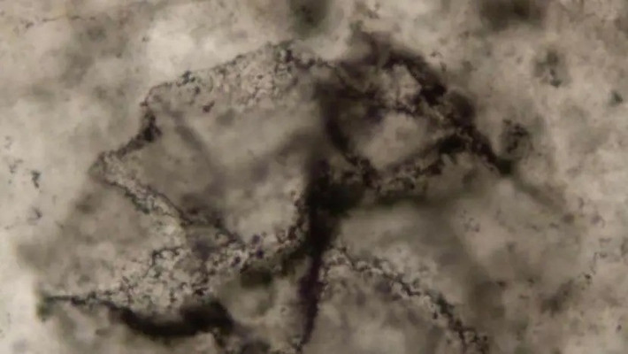 Nhóm nghiên cứu quốc tế do Viện Khoa học Carnegie tại Mỹ dẫn đầu đã sử dụng phương pháp mới kết hợp phân tích hóa học tiên tiến với trí tuệ nhân tạo (AI). Qua đó, họ phát hiện những dấu hiệu sự sống cổ xưa nhất từng được ghi nhận trên Trái đất. Ảnh: Andrew D. Czaja.