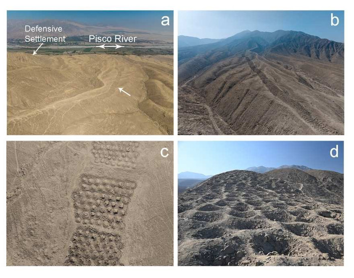 Trong nghiên cứu mới công bố, các chuyên gia đã phân tích tàn tích của các loài thực vật trong đá và trầm tích từ một số hố. Kết quả phân tích cho thấy phấn hoa từ các loại cây trồng, bao gồm ngô, bên trong các lỗ, cho thấy những cây này đã được đặt vào trong các lỗ. Ảnh: J.L. Bongers/C. Stanish.