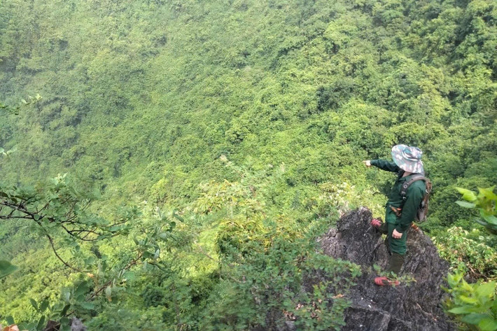 Mới đây, các nhà khoa học đã công bố kết quả điều tra động vật hoang dã tại khu rừng phòng hộ tại xã Đồng Thái, tỉnh Ninh Bình. Theo đó, từ tháng 7 - 10/2025, các nhà sinh học của Trung tâm Tài nguyên, Môi trường và Biến đổi khí hậu (CEREC) dẫn đầu đoàn khảo sát cùng sự hỗ trợ của nhiều người dân địa phương lắp đặt các bẫy ảnh nhằm ghi lại hoạt động của các loài động vật trong khu rừng. Ảnh: Dân Việt.