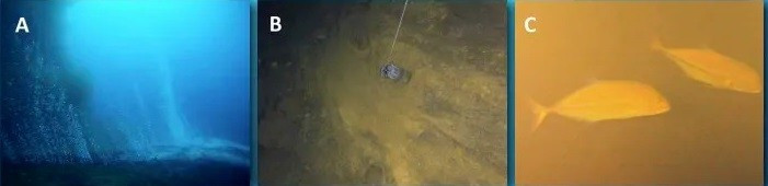 Thế nhưng, giờ đây, các chuyên gia bắt gặp những con cá mập ở miệng núi lửa Kavachi. Liệu chúng có biết điều gì sắp xảy ra? Chúng có bỏ đi trước khi núi lửa "thức giấc"? Hay chúng sẽ bị thổi tung lên trời khi núi lửa phun trào dữ dội?. Ảnh: Oceanography.