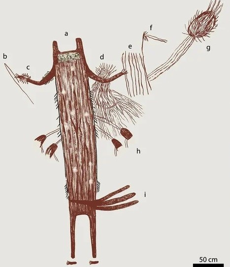 Trong suốt giai đoạn này, phong cách nghệ thuật trên được tìm thấy ở một khu vực được gọi là Lower Pecos Canyonlands vẫn duy trì sự nhất quán đáng kinh ngạc trong hình ảnh và kỹ thuật được sử dụng để tạo ra các bức tranh, dường như tuân theo một bộ quy tắc nghiêm ngặt. Ảnh: adx7205_Figure_fig4_seq4_v1.jpg - Steelman et al., Sci. Adv. 11, eadx7205, Illustration by Carolyn E. Boyd.