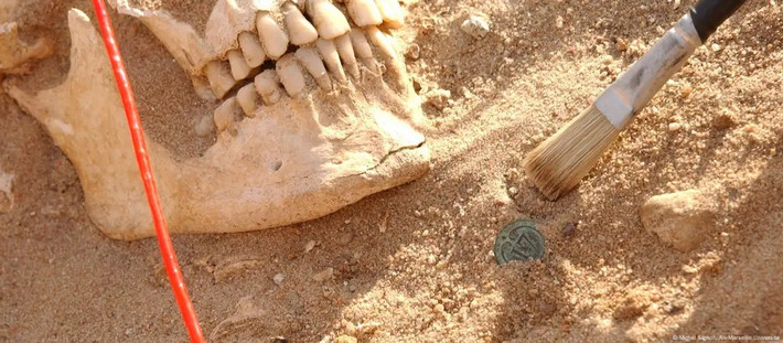 Vào tháng 6/1812, hoàng đế Pháp Napoleon I dẫn theo lực lượng quân đội hùng hậu Grande Armée tiến vào Nga nhưng chiến dịch quân sự này thất bại sau 6 tháng. Những người lính của hoàng đế Napoleon không chỉ bị lực lượng Nga tiêu diệt mà còn vì những "kẻ thù" nhỏ bé nhưng có khả năng gây ra thương vong cao. Ảnh: Michel Signoli, Aix-Marseille Université.