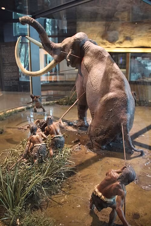 Theo nhóm nghiên cứu, các bằng chứng cho thấy mặc dù được sử dụng như nơi ở và được bảo trì bởi nhiều thế hệ, thời gian của mỗi đợt lưu trú khá ngắn, chỉ vài lần trong hơn 400 năm. Ảnh: wikipedia.