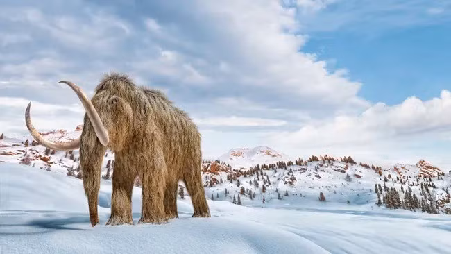 Các "tòa nhà xương" được phát hiện ở Ukraine là bằng chứng về trình độ xây dựng đáng ngưỡng mộ của con người sống cách đây khoảng 18.000 năm cũng như cách con người sinh tồn trong điều kiện khắc nghiệt. Ảnh: LEONELLO CALVETTI/SCIENCE PHOTO LIBRARY via Getty Images.