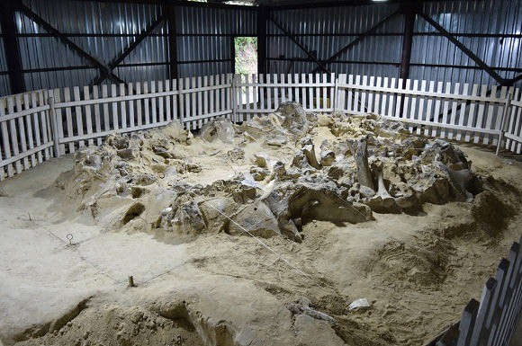 Theo nghiên cứu mới được công bố trên tạp chí khoa học Open Research Europe, các nhà khảo cổ cho biết đã phân tích 4 công trình kiến trúc kỳ lạ được phát hiện ở tỉnh Cherkasy, miền trung Ukraine. Đó là những kết cấu tròn, diện tích 12-24 m2 và xây bằng những khúc xương của voi ma mút. Ảnh: Chu et al., doi: 10.12688/openreseurope.20112.1.