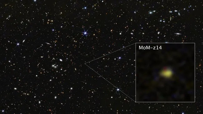 NASA và kính viễn vọng không gian James Webb (JWST) tiếp tục phá vỡ giới hạn quan sát khi phát hiện thiên hà MoM-z14. Trong nghiên cứu mới công bố trên tạp chí Open Journal of Astrophysics, nhóm nghiên cứu cho biết thiên hà MoM-z14 là "nguồn được xác nhận bằng quang phổ xa nhất từng ghi nhận, mở rộng phạm vi quan sát tới giai đoạn chỉ 280 triệu năm sau vụ nổ Big Bang". Ảnh: ASA, ESA, CSA, STScI, Rohan Naidu (MIT); Image Processing: Joseph DePasquale (STScI).