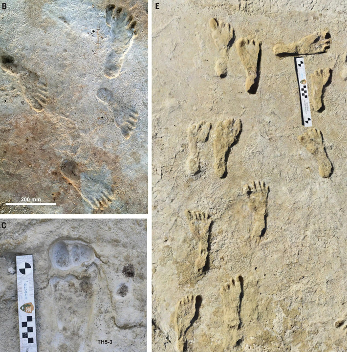 Nghiên cứu mới công bố do Giáo sư Matthew Bennett của Đại học Bournemouth (Anh) dẫn đầu chỉ ra con người từng sống ở khu vực này của bang New Mexico sớm hơn ít nhất 7.000 năm so với các bằng chứng khảo cổ đã được xác nhận trước đó. Ảnh: Science.