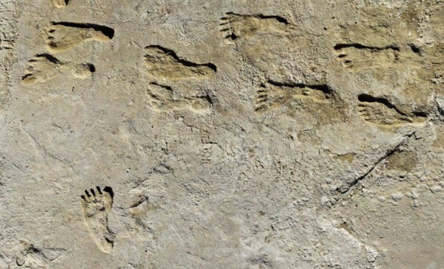 Khi phân tích lòng hồ khô cạn của hồ Otero thời tiền sử nằm tại công viên quốc gia White Sands ở bang New Mexico, Mỹ, các nhà nghiên cứu bất ngờ tìm thấy hàng chục dấu chân người cổ xưa in sâu trong các lớp trầm tích. Ảnh: Science.