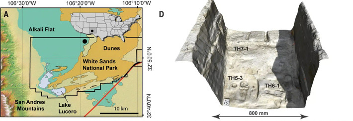 Vì thế, khám phá mới đã thách thức hiểu biết của chúng ta về các mốc thời gian lâu nay cho rằng con người đặt chân đến Bắc Mỹ không sớm hơn 16.000 năm trước. Ảnh: Science.