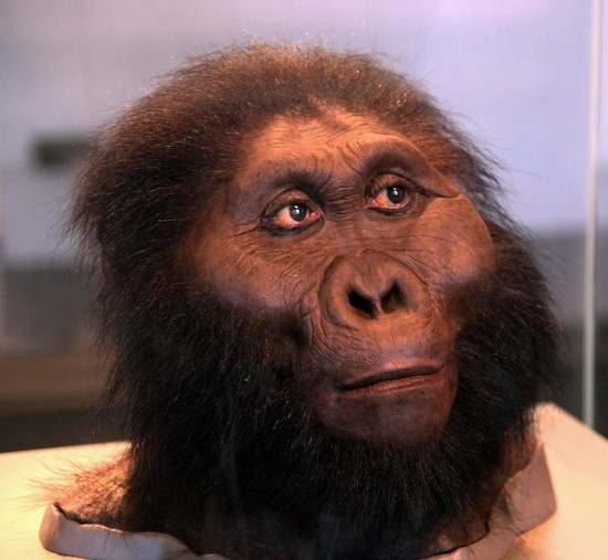 Theo nhóm nghiên cứu, người Paranthropus boisei cũng có khả năng chế tạo công cụ. Đều này bổ sung thêm bằng chứng cho thấy loài người này có đôi bàn tay rất khéo léo giống các loài thuộc chi Homo. Ảnh: dctim1/Flickr.