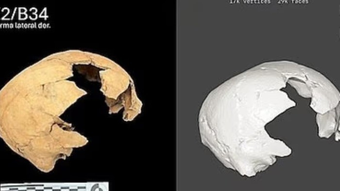 Hình dạng độc đáo của hộp sọ này là kết quả của việc cố ý làm biến dạng sọ - phương pháp mà người ta dùng các tấm ván phẳng và băng ép vào đầu mềm của trẻ sơ sinh trong nhiều năm để tạo hình hộp sọ theo ý muốn. Ảnh: INAH.