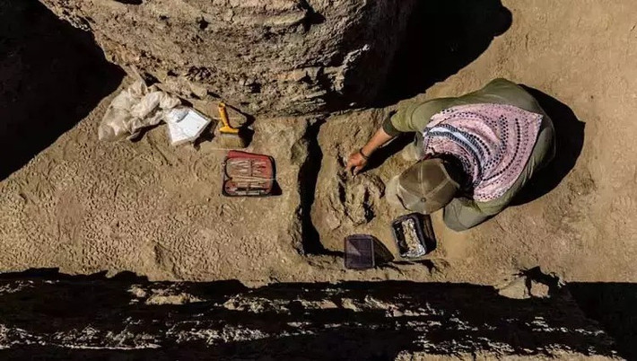 Khám phá này cũng bao gồm những bức tượng bò đất sét được cho là đồ chơi trẻ em, chứng minh rằng các hoạt động giải trí là một phần không thể thiếu trong cuộc sống của người xưa. Ảnh: anatolianarchaeology.