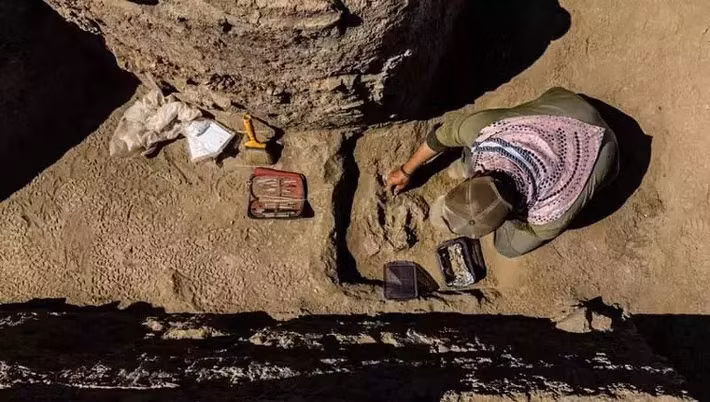 Khám phá này cũng bao gồm những bức tượng bò đất sét được cho là đồ chơi trẻ em, chứng minh rằng các hoạt động giải trí là một phần không thể thiếu trong cuộc sống của người xưa. Ảnh: anatolianarchaeology.