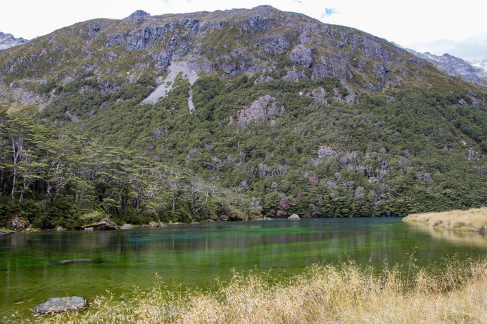 Người Māori địa phương còn gọi hồ Rotomairewhenua với cái tên Hồ Xanh (Blue Lake) bởi hồ có màu xanh lam rực rỡ. Ảnh: JR on Tour.