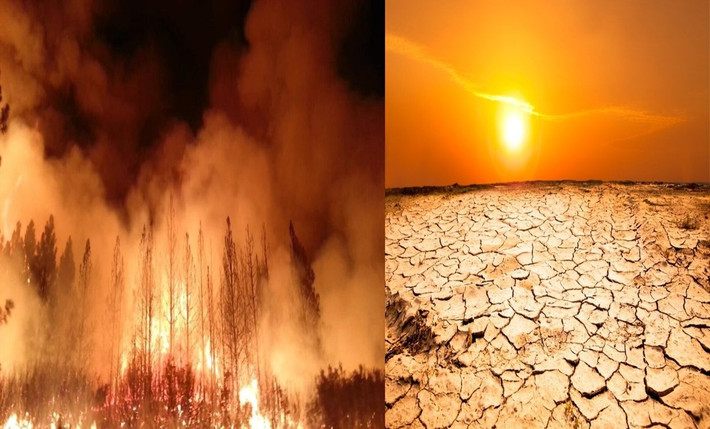 Báo cáo thường niên của tổ chức từ thiện Christian Aid cho thấy chỉ riêng 10 thảm họa liên quan đến biến đổi khí hậu như các đợt nắng nóng kỷ lục, cháy rừng, hạn hán và bão lũ trong năm 2025 đã gây thiệt hại được bảo hiểm lên tới hơn 120 tỷ USD. Ảnh: in.mashable.com.