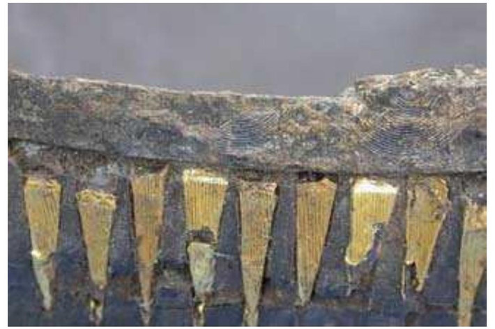 Đến nay, giới nghiên cứu vẫn chưa tìm ra lời giải chính xác cho những họa tiết trên chiếc bát Caergwrle nhưng việc tìm thấy nó tại một cánh đồng gần đầm lầy cho thấy nó có thể được dùng làm vật tế để dâng lên các vị thần, giúp các thủy thủ có chuyến đi biển an toàn. Ảnh: National Museum of Wales.