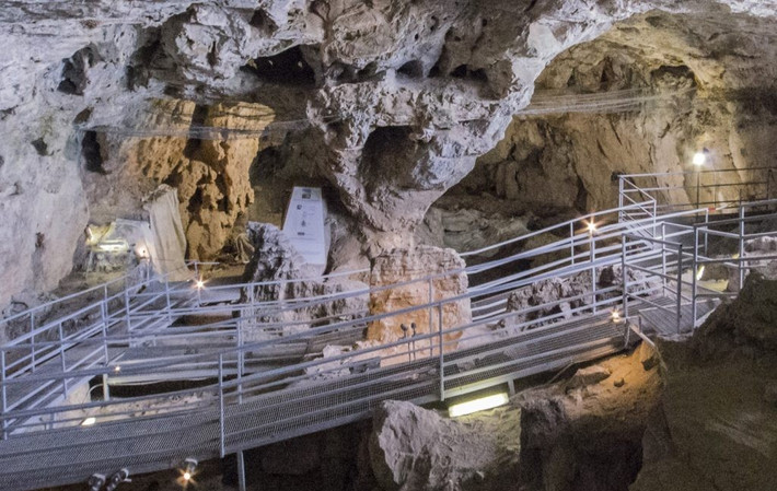 Sau khi phân tích kỹ lưỡng các hình ảnh, các nhà nghiên cứu kết luận rằng, trên đường đi tìm kiếm thức ăn, "hoàng tử" đã bị chấn thương nghiêm trọng ở vai và mặt vào khoảng thời gian tử vong, đúng như kết luận ban đầu của giới chuyên gia. Ảnh: mudifinale.com.