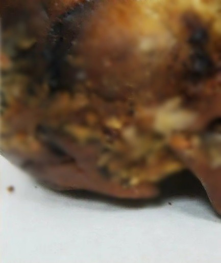 "Có thể chúng tôi lần đầu tiên phát hiện bằng chứng về một thủ thuật phẫu thuật như vậy", Tiến sĩ Andrey Letyagin, bác sĩ X quang tại Chi nhánh Siberia của Viện Hàn lâm Khoa học Nga, cho biết. Ảnh: NSU Press Service.