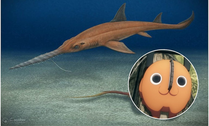 “Những cái tên khoa học không nhất thiết phải khô khan. Khi chúng gợi được kết nối với văn hóa hiện đại, đó cũng là cách giúp khoa học đến gần hơn với giới trẻ”, Martín Chávez, Giám đốc khoa học Trung tâm Nghiên cứu Cổ sinh học CIAHN Atacama và là đồng tác giả của nghiên cứu, chia sẻ. Ảnh: Instagram @carlost_sapiens.