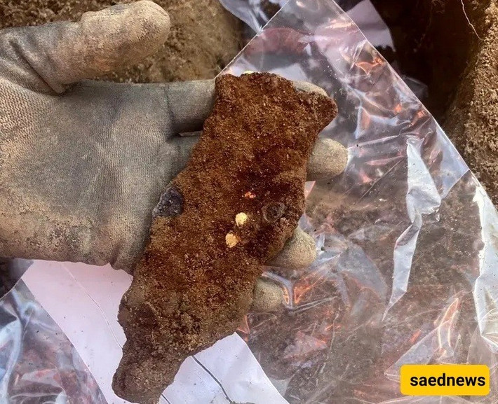 Sự kết hợp giữa việc chế tạo vũ khí bằng sắt kết hợp với trang trí bằng vàng là cực kỳ hiếm gặp ở Bắc Âu. Các loại vũ khí mạ vàng tương tự hiện vẫn chưa tìm thấy ở bất cứ nơi nào trong khu vực Bắc Âu, thậm chí ở Trung Âu và Hy Lạp. Ảnh: en.saednews.com.