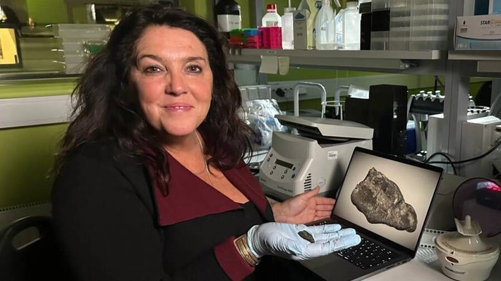 Cụ thể, các chuyên gia cho hay "kẹo cao su" vẫn còn lưu dấu răng và dấu vết nước bọt. Qua đó, họ đã tiến hành phân tích ADN trong nước bọt cho thấy chủ nhân của miếng nhựa bạch dương 10.500 năm tuổi có khả năng là một thiếu nữ sở hữu mái tóc nâu và mắt nâu. Ảnh: Treasures of the World.