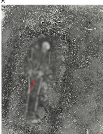 Dựa trên sự hiện diện của những chiếc đinh tán và đinh, các chuyên gia suy đoán chủ nhân ngôi mộ có thể được chôn cất trong một chiếc quan tài bằng gỗ. Theo thời gian, quan tài đã bị phân hủy hoàn toàn, chỉ còn lại những chiếc đinh. Ảnh: Kopparsvik / Toplak / Matt Hitchcock.