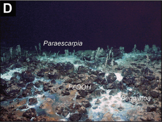 Thông thường, các miệng phun thủy nhiệt và điểm rò rỉ khí methane nằm ở những vùng khác nhau của đáy biển. Tuy nhiên, tại đây, sự gần kề bất thường này có thể được giải thích bởi cấu trúc địa chất của Conical Seamount, nơi có các lớp trầm tích dày giàu chất hữu cơ nằm bên dưới thân núi lửa. Ảnh: Indian Defence Review.