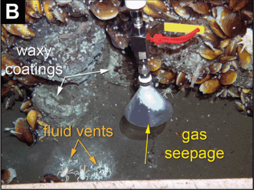 "Chúng tôi thực sự tìm thấy một miệng phun nước nóng ngay cạnh một điểm rò khí lạnh, một sự kết hợp chưa từng được mô tả trước đây", Tiến sĩ Philipp Brandl, nhà địa chất biển tại Trung tâm nghiên cứu đại dương GEOMAR Helmholtz, cho biết. Ảnh: Indian Defence Review.